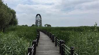 太湖湿地公园 钓鱼_太湖湿地公园钓鱼