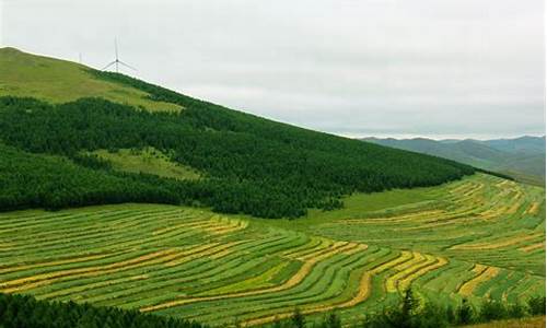 草原天路自驾游攻略 详细游记手稿(两次整理简单概括_草原天路