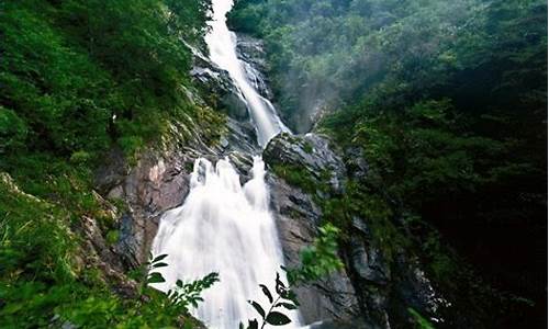 天目山旅游攻略自助游推荐_天目山旅游攻略自助游推荐