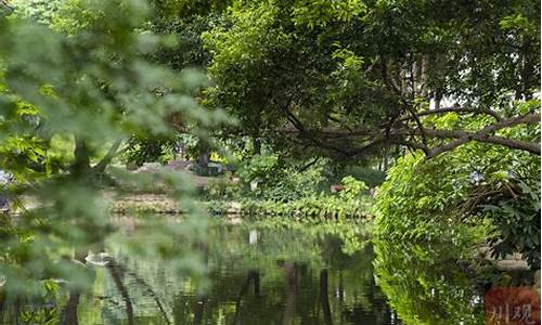 活水公园植物_活水公园植物表