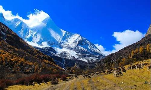 稻城亚丁旅游攻略携程_稻城亚丁详细旅游攻略