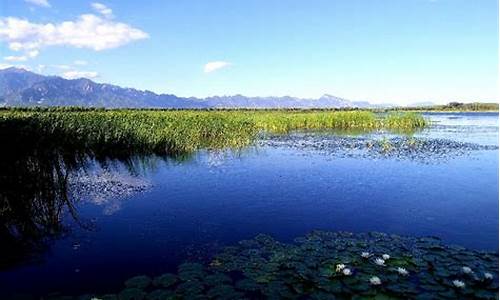 野鸭湖湿地公园怎么样_野鸭湖湿地公园怎么样啊