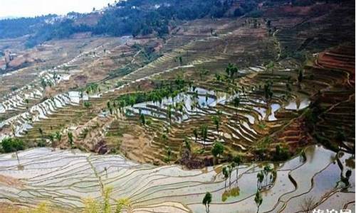 红河景点最值得去的地方是哪里呢_红河景点最值得去的地方是哪里呢图片